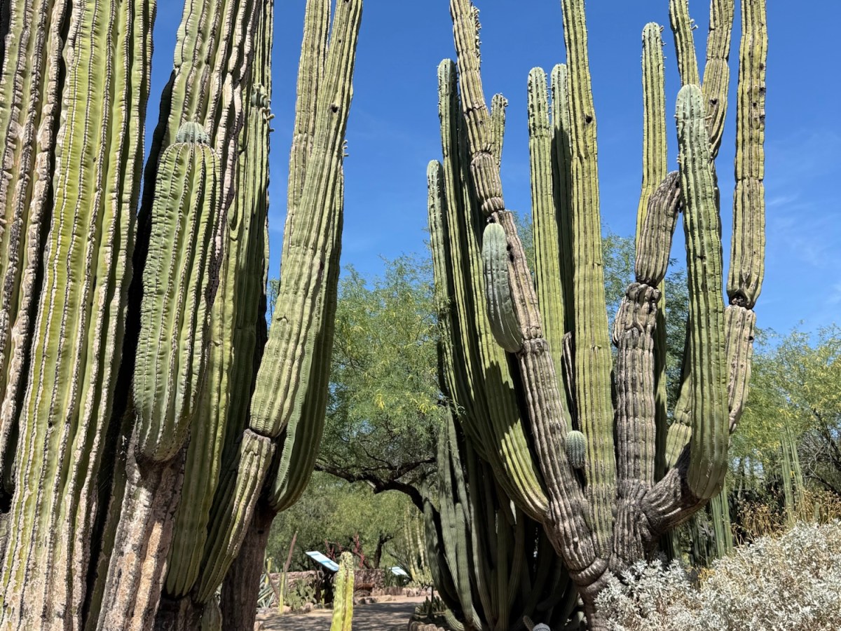 Phoenix-Scottsdale, Arizona
