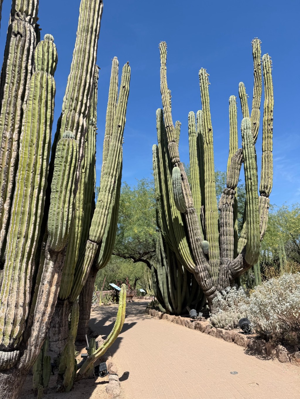 Phoenix-Scottsdale, Arizona